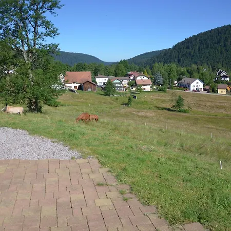 Scandinave Chaleureux Avec Sauna Et Animaux Admis - Fr-1-589-806 Dom wakacyjny Xonrupt-Longemer