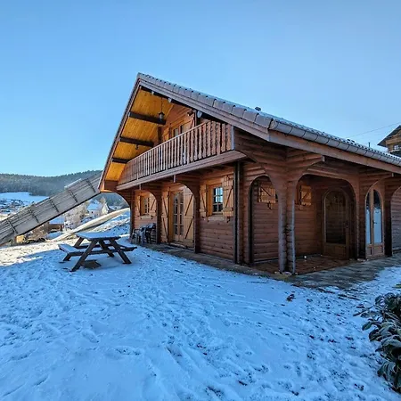 Dom wakacyjny Scandinave Chaleureux Avec Sauna Et Animaux Admis - Fr-1-589-806 Xonrupt-Longemer